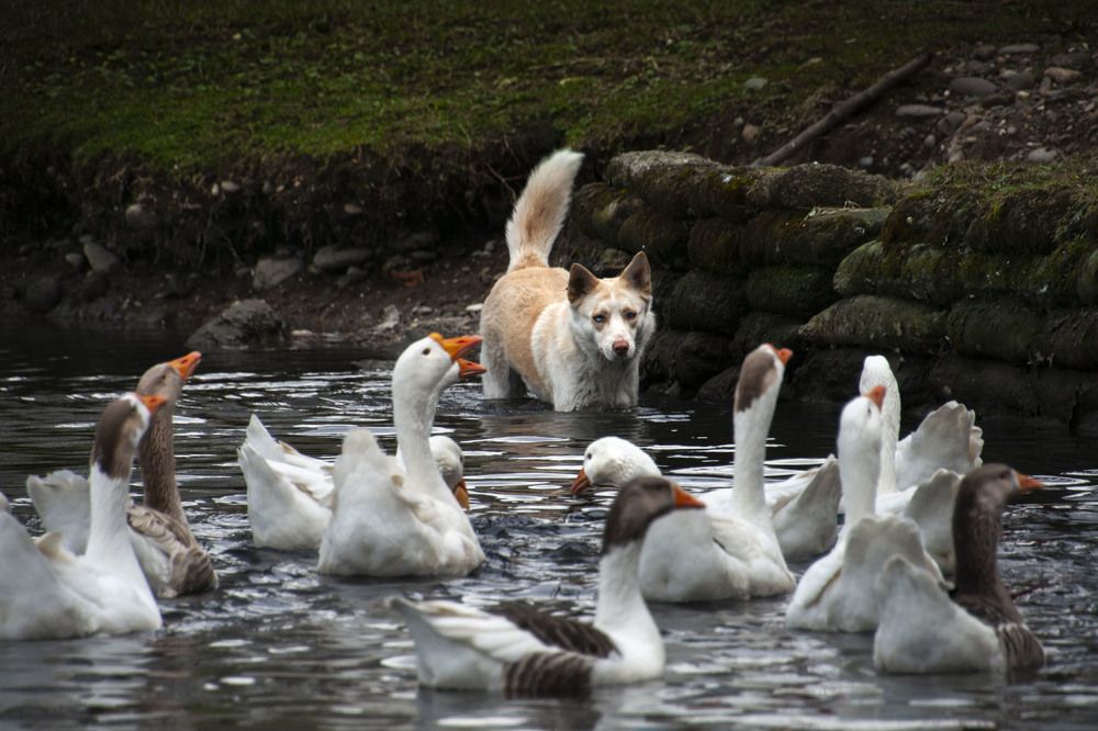 Photograph by Sergej