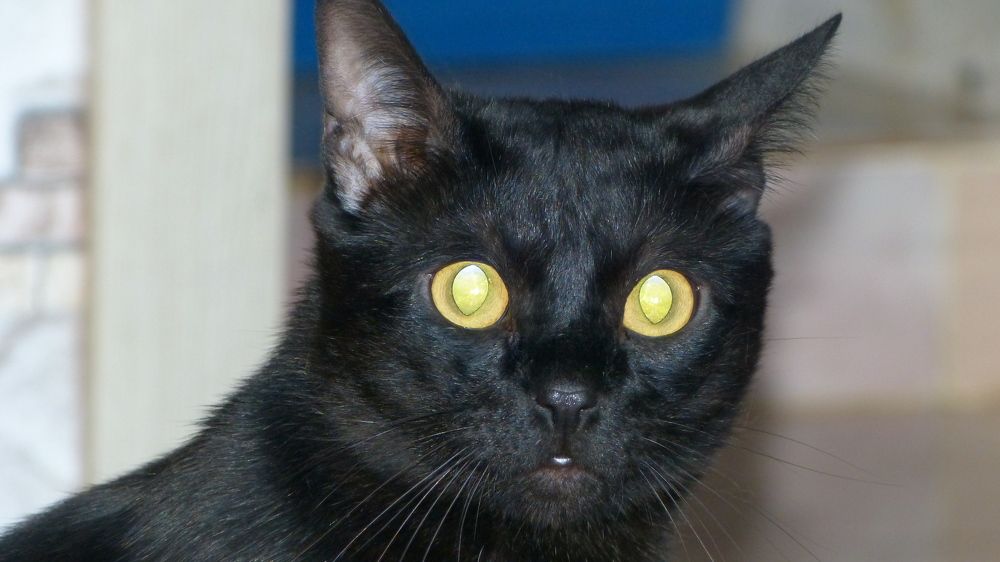 Photograph by Максим Владимирович