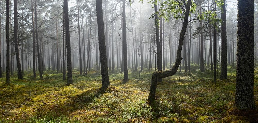 Фотография автора Андрей Нарчук