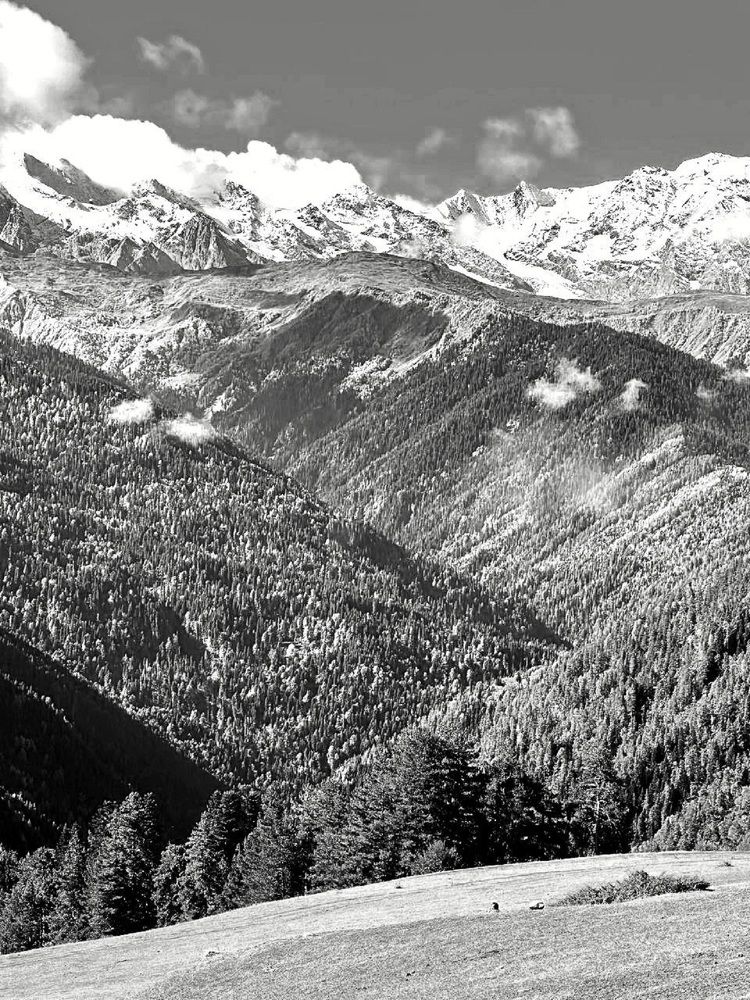 Фотография автора Natalya Firsova