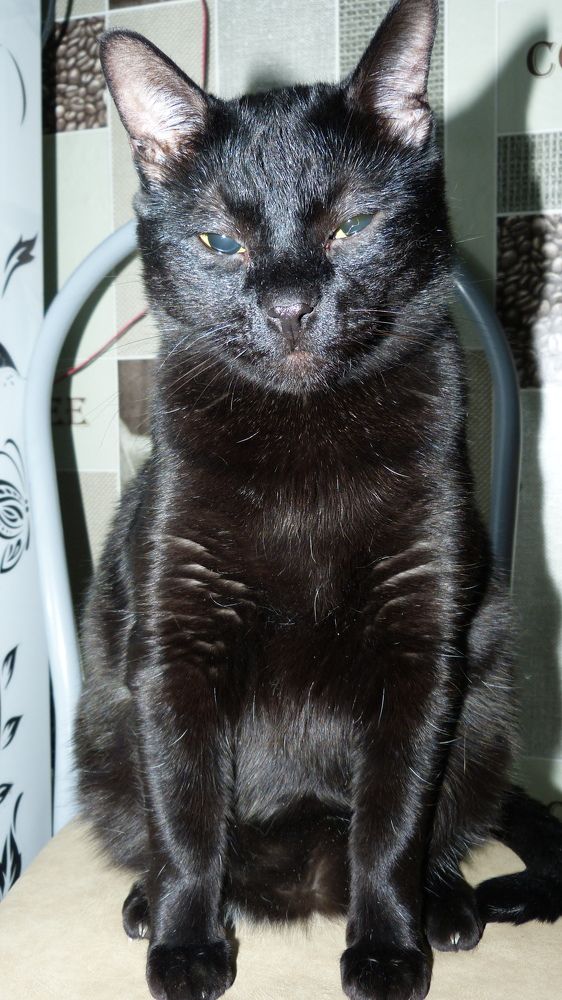 Photograph by Максим Владимирович