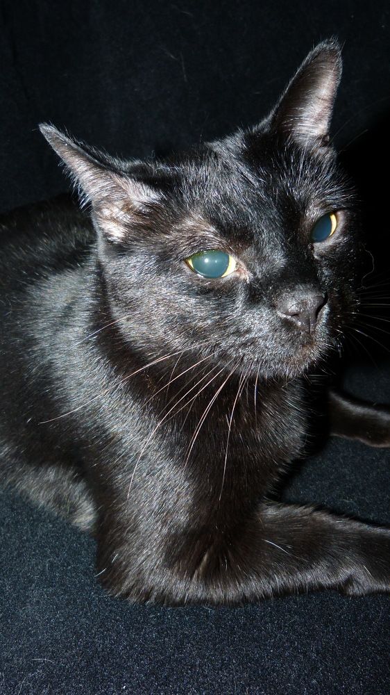 Photograph by Максим Владимирович