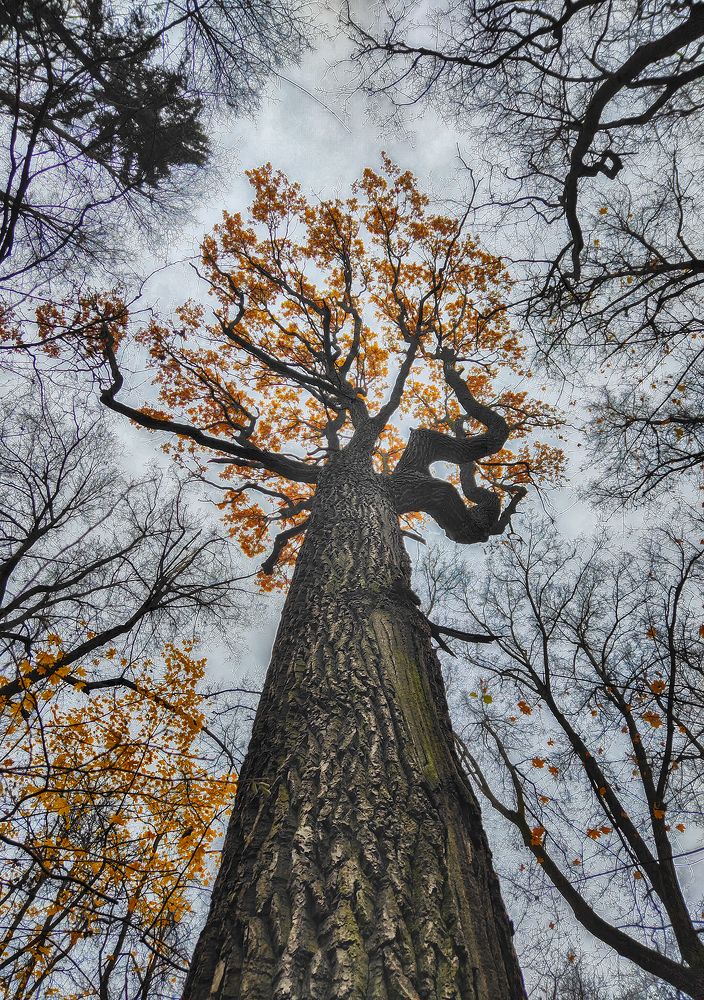 Photograph by Natalia Bolotenkova