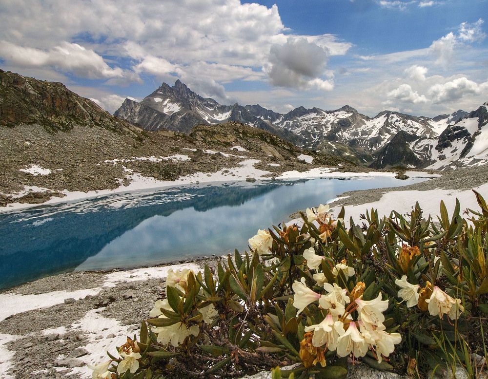 Photograph by Родион