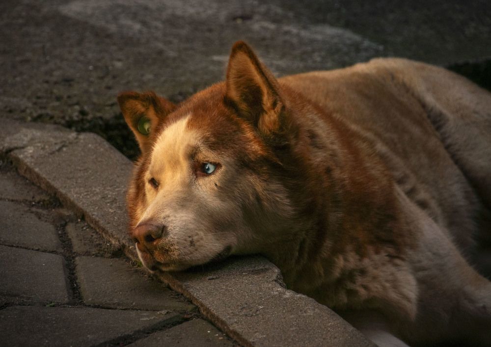 Photograph by Sergej