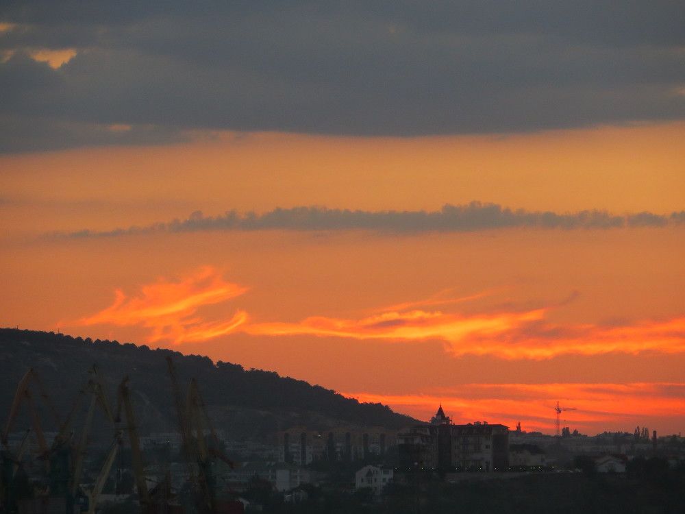 Photo #11547278