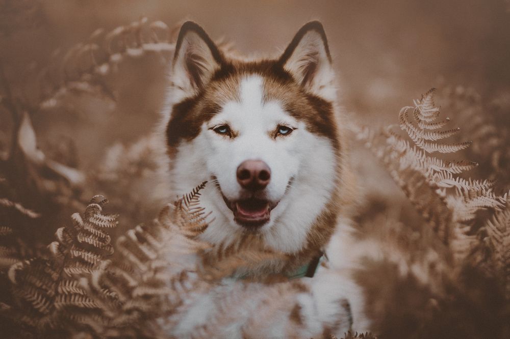 Photograph by Greg Parker