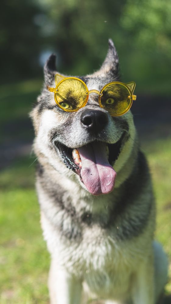 Photograph by Алина Плотникова