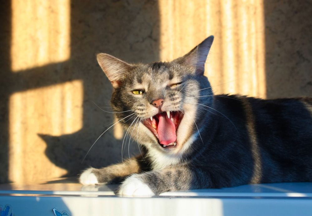 Photograph by Дарья