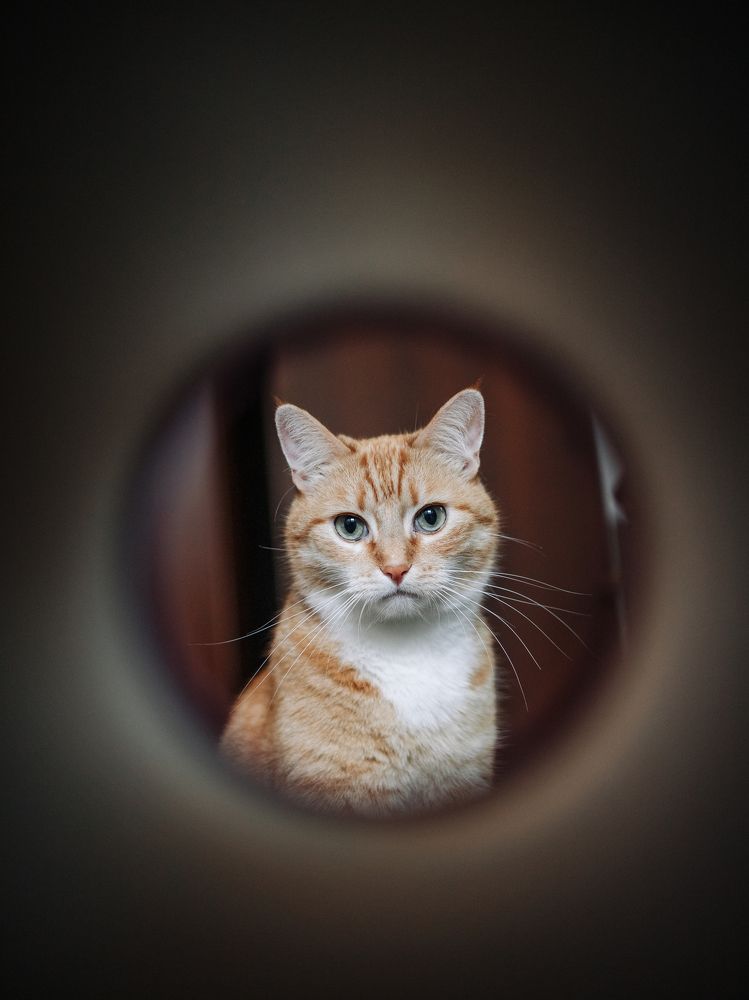 Photograph by Max Vegas