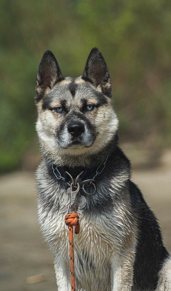 Photograph by Алина Плотникова