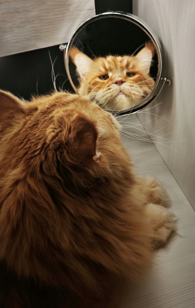 Photograph by Елена