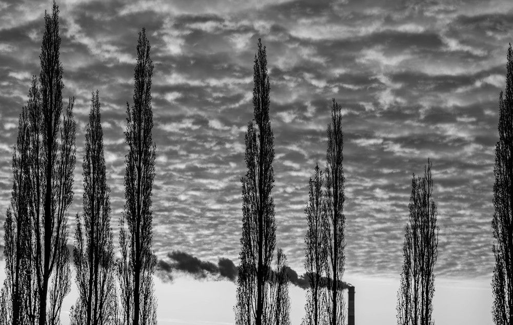 Photograph by Наталья Поспелова