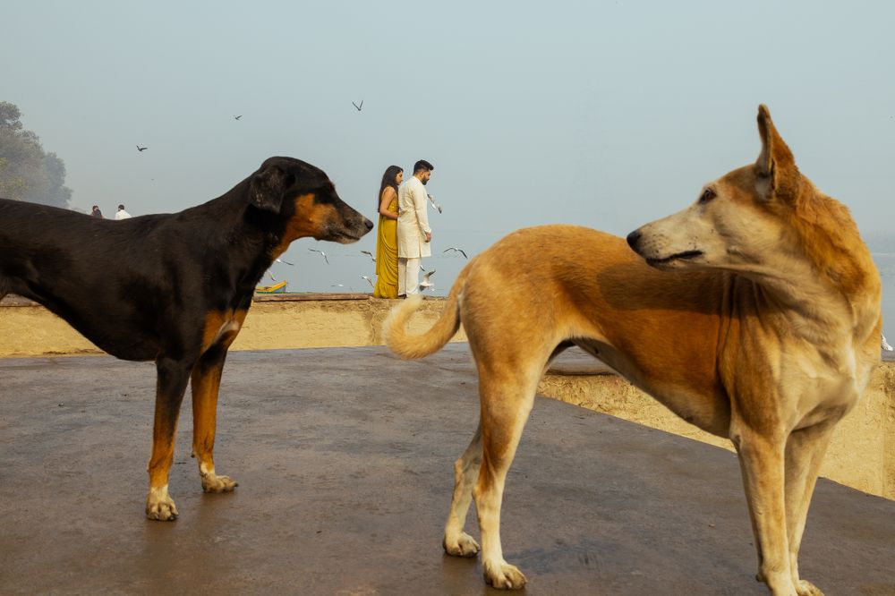 Photograph by Lucky Gautam