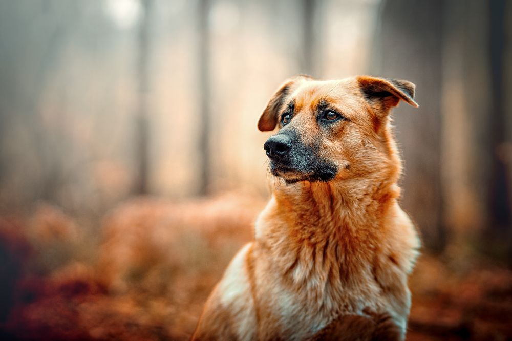 Photograph by Aleksandr Solovev