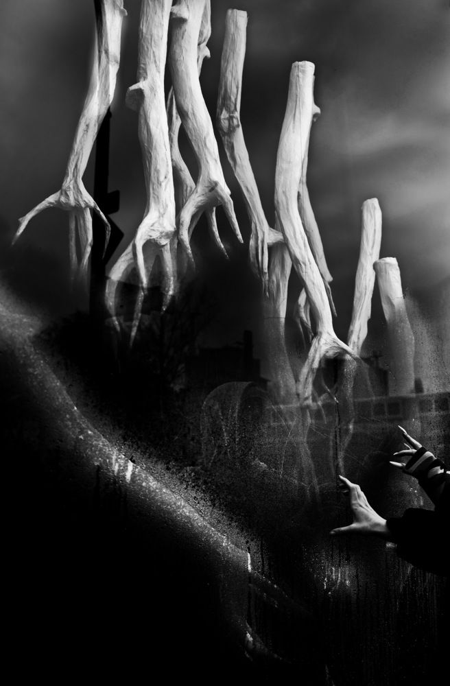 Photograph by Румен Сомов