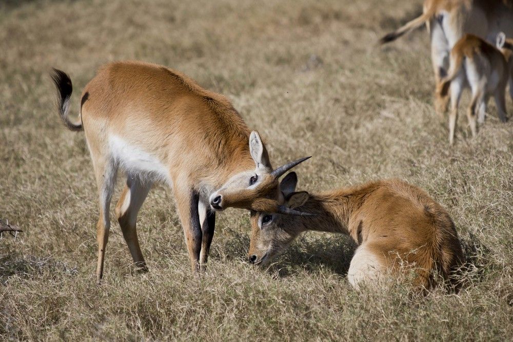 Photograph by Максим Мураков