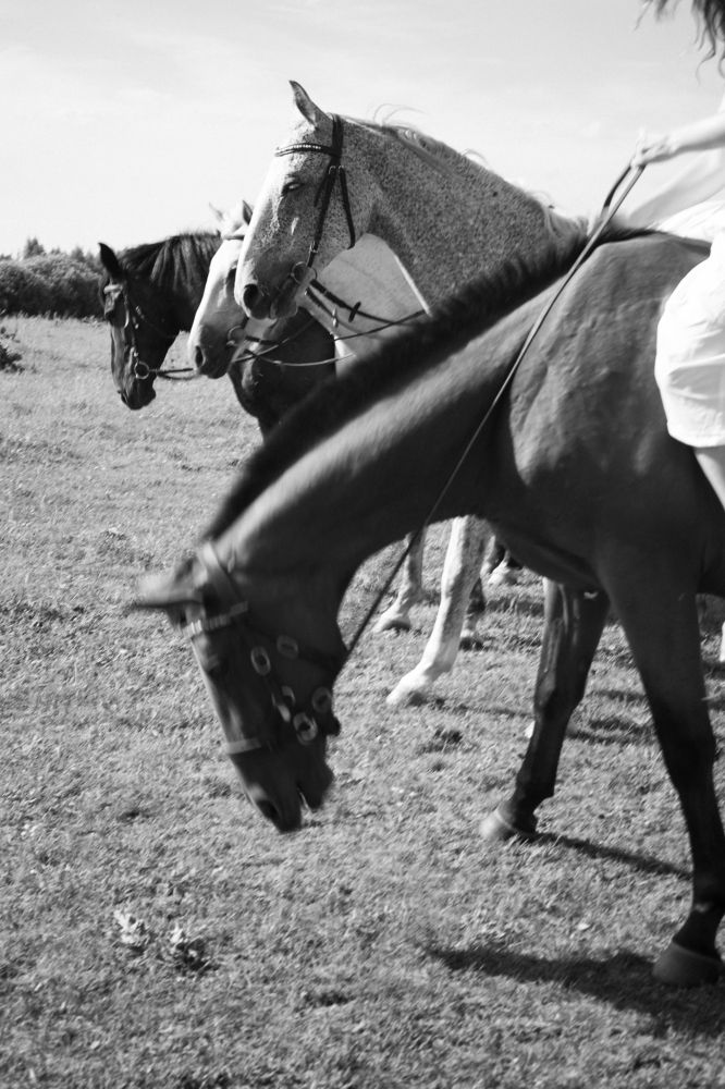 Photograph by Anna Fors