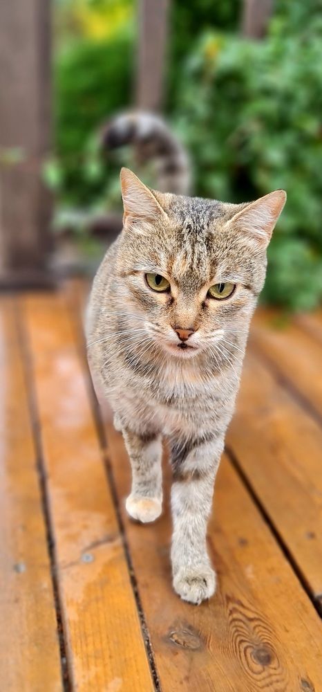 Фотография автора Наталья Владимировна