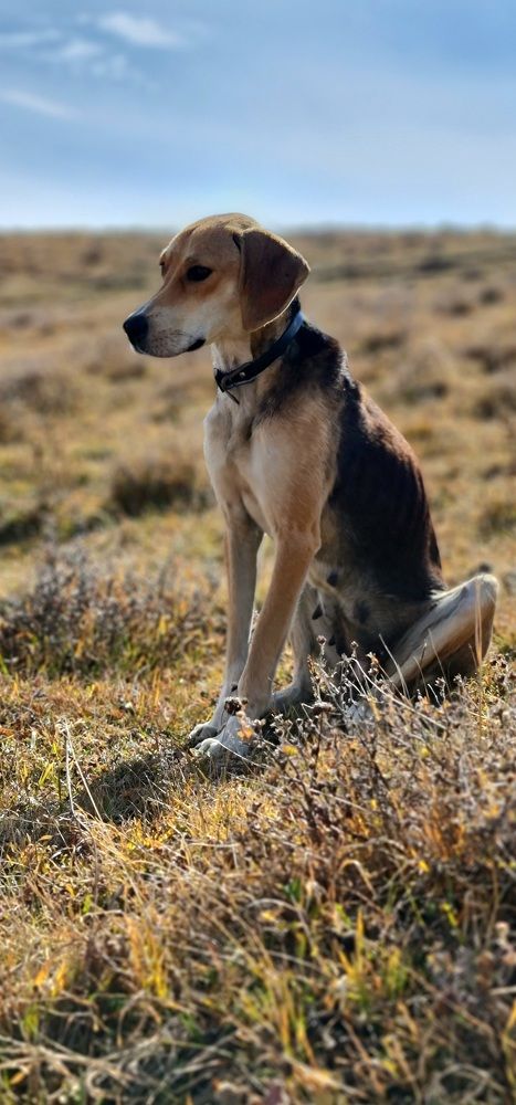 Фотография автора Наталья Владимировна