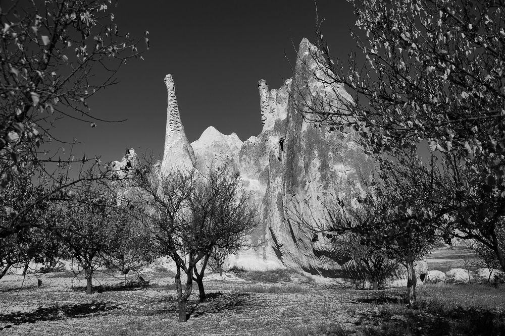 Photograph by Матвей Матвеев