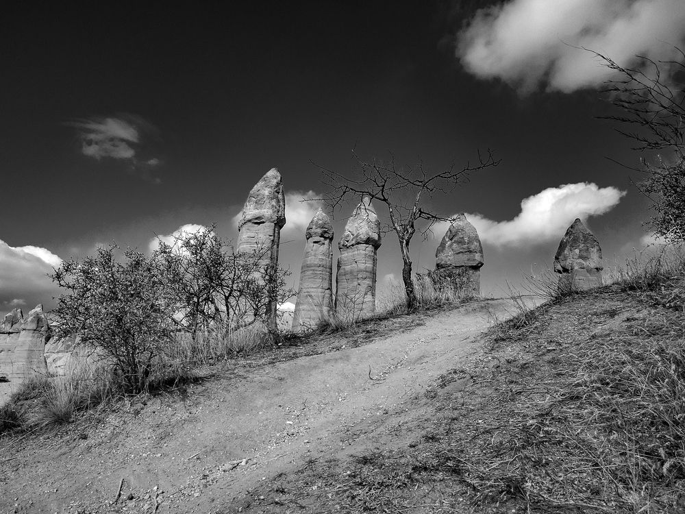 Photograph by Матвей Матвеев