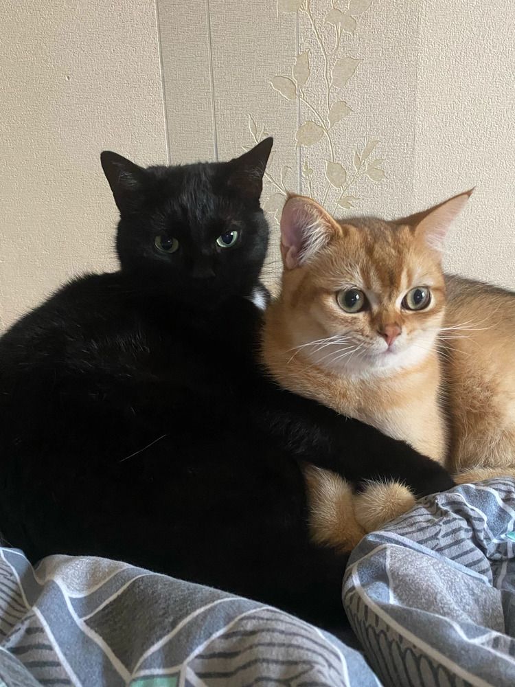 Photograph by Галина Чернякова