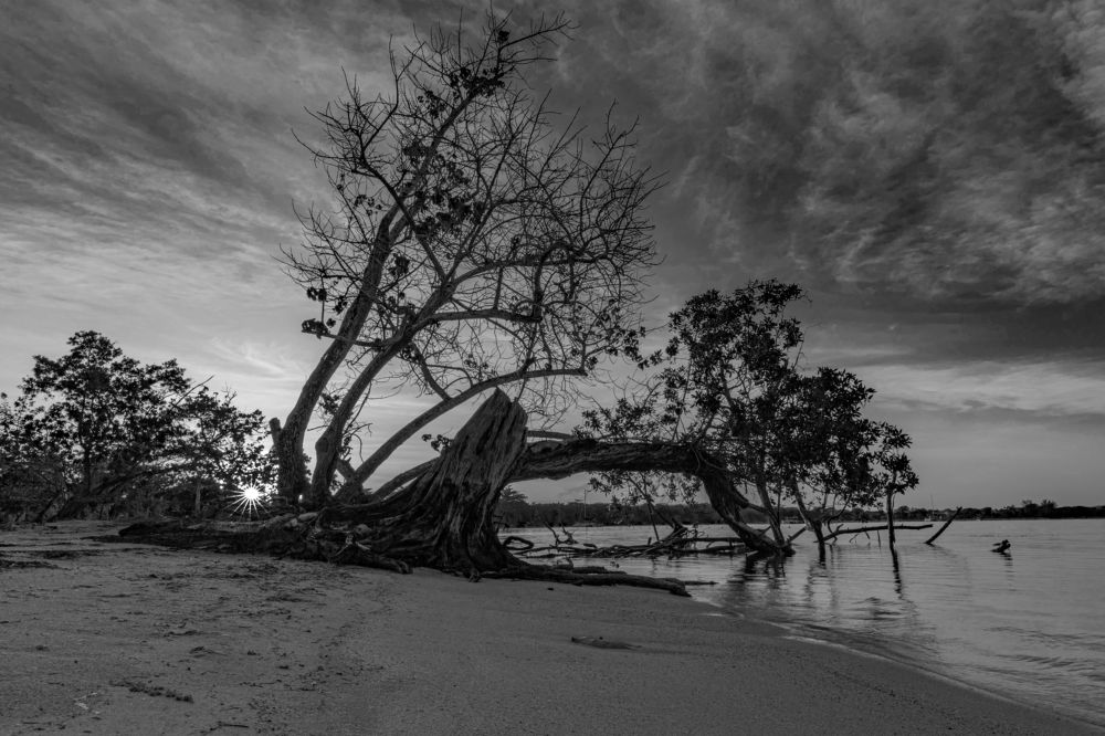 Photograph by Максим Мураков