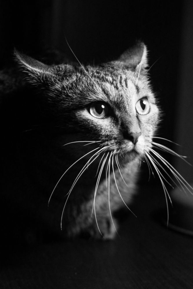 Photograph by Anna Fors