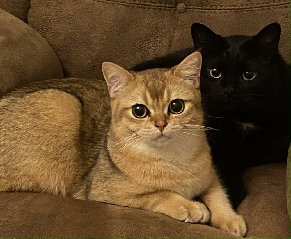 Photograph by Галина Чернякова