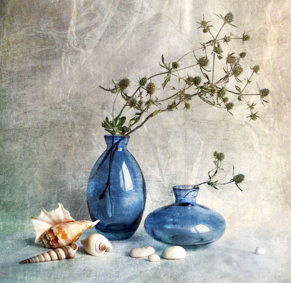 Натюрморт с морскими раковинами