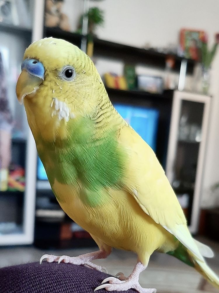 Photograph by Ольга Белоусова