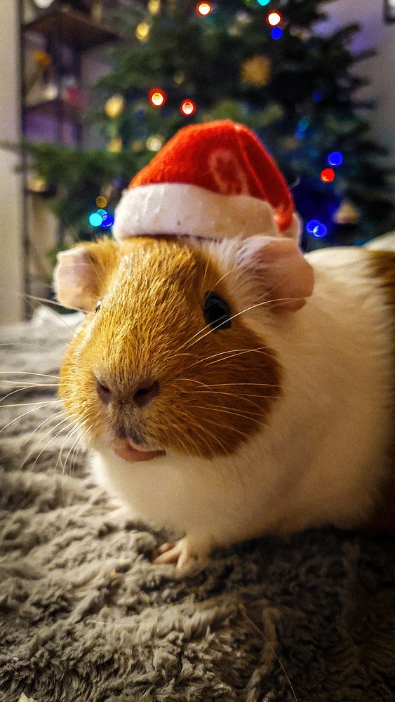 Photograph by Наталия Короленко