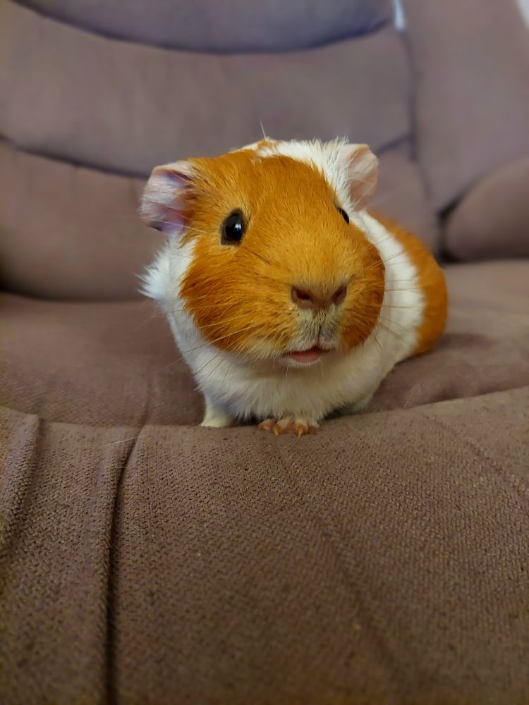 Photograph by Наталия Короленко