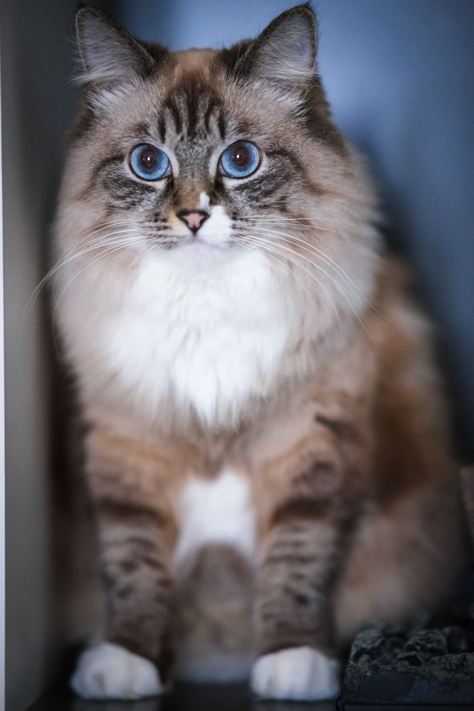 Photograph by Евгения Путинцева