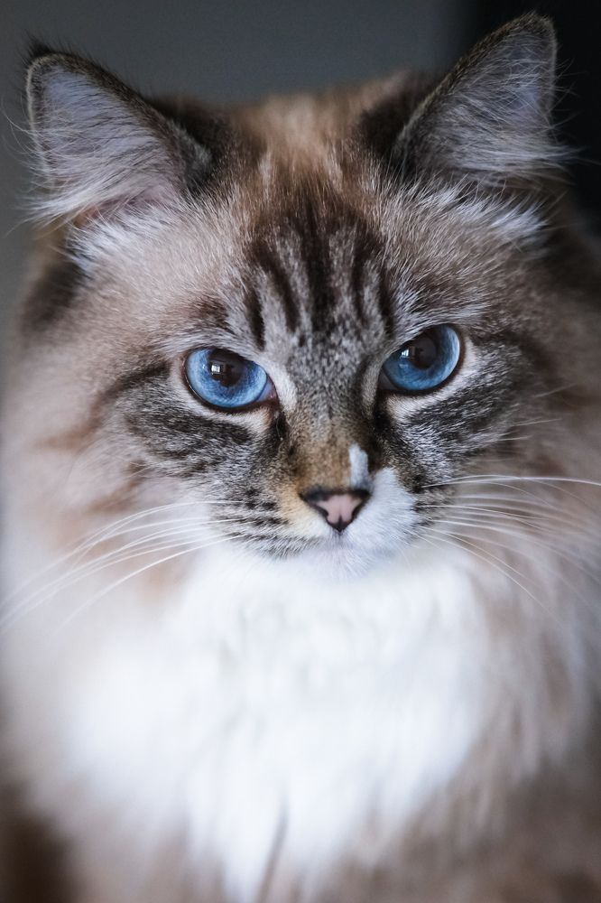 Photograph by Евгения Путинцева