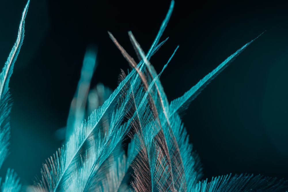 Фотография автора Екатерина Хисматулина