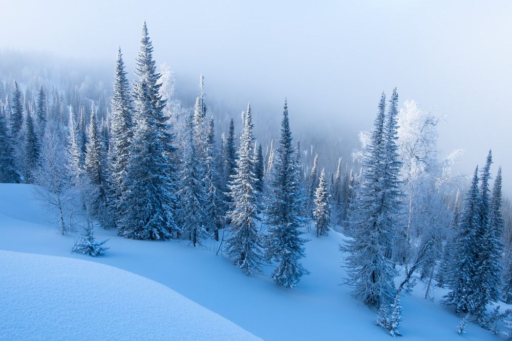 Photograph by Andrey Shishkalov