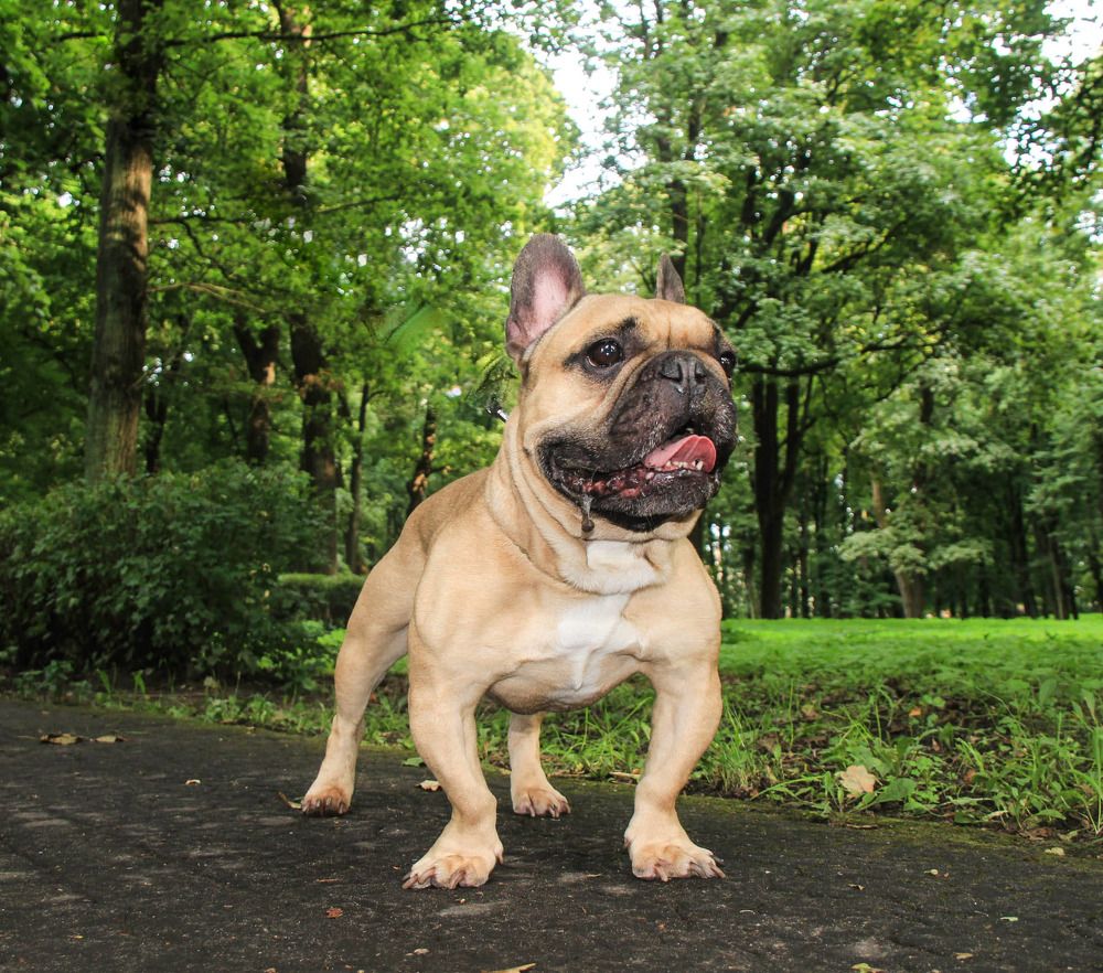 Photograph by Igors Rostikovs