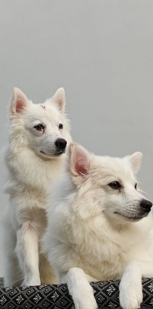 Photo #11547965