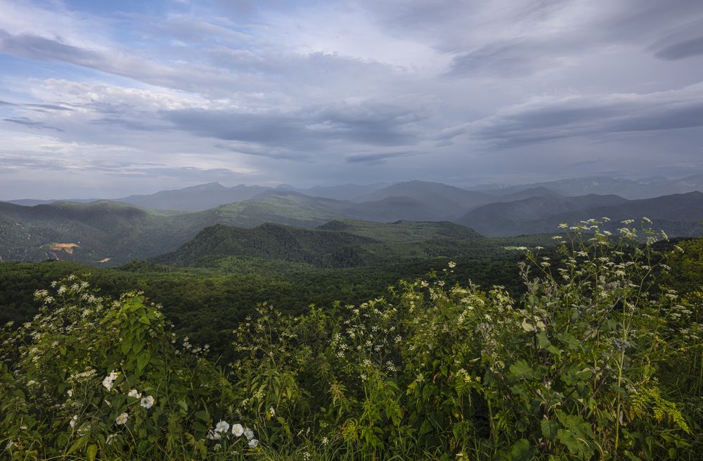 Photograph by Татьяна Казьмина