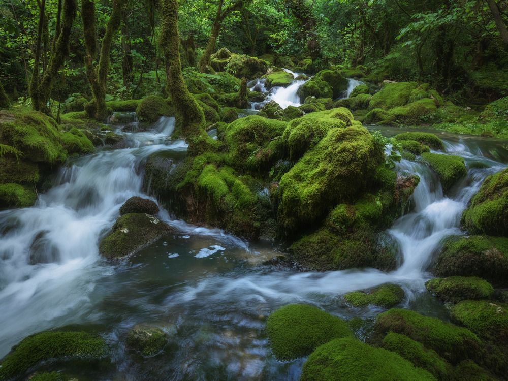 Вешние воды. Грузия. Май 2024г.