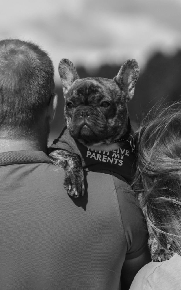 Photograph by Елена Алексеева