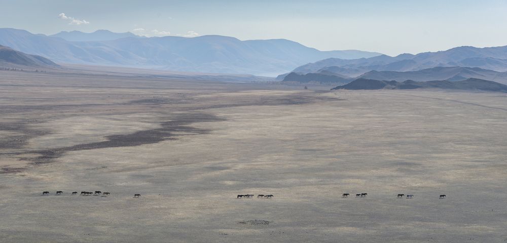 Photograph by Леонтьев Константин