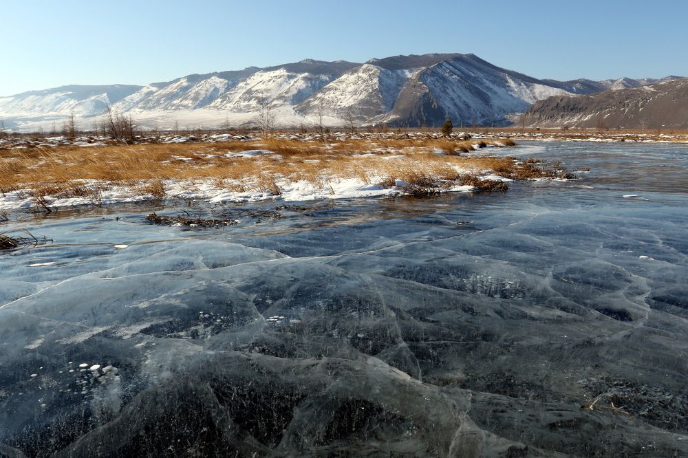Фотография автора Колосова Елена
