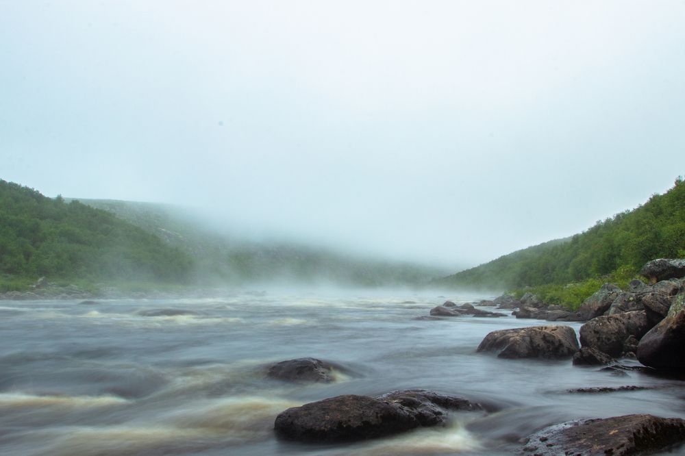 Photograph by Alina Bystrova