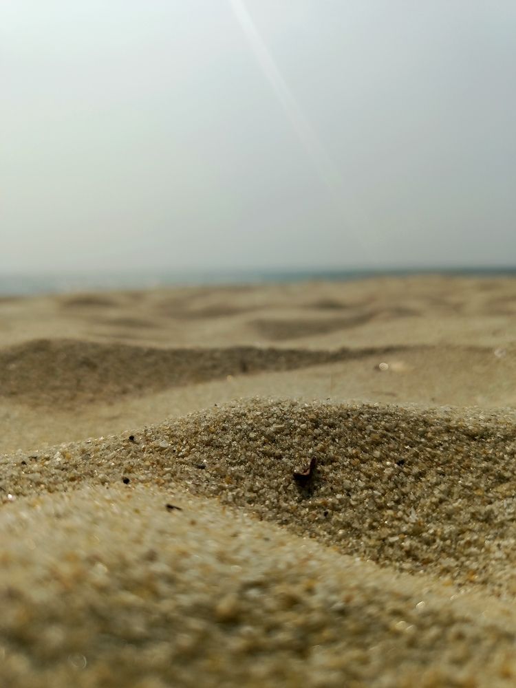 Photograph by Lakshmi Priya