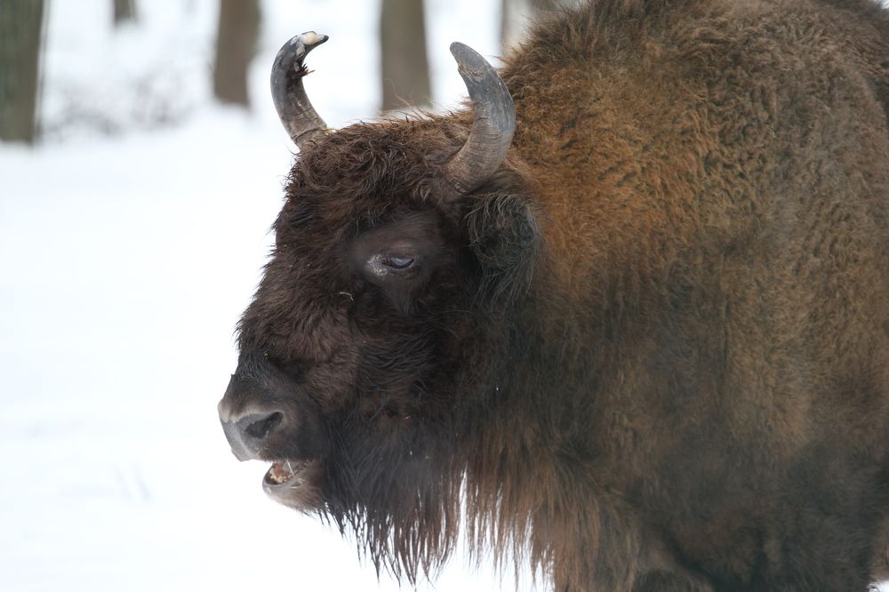 Фотография автора Колосова Елена