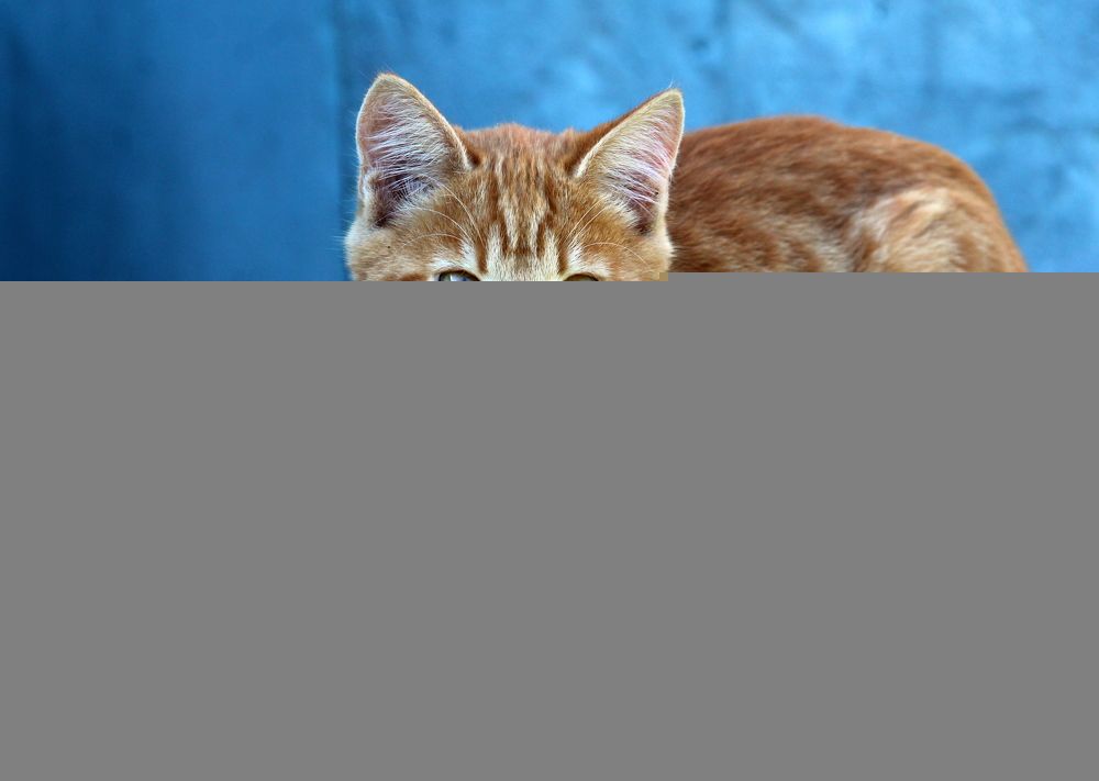 Photograph by Жанна Нечаева