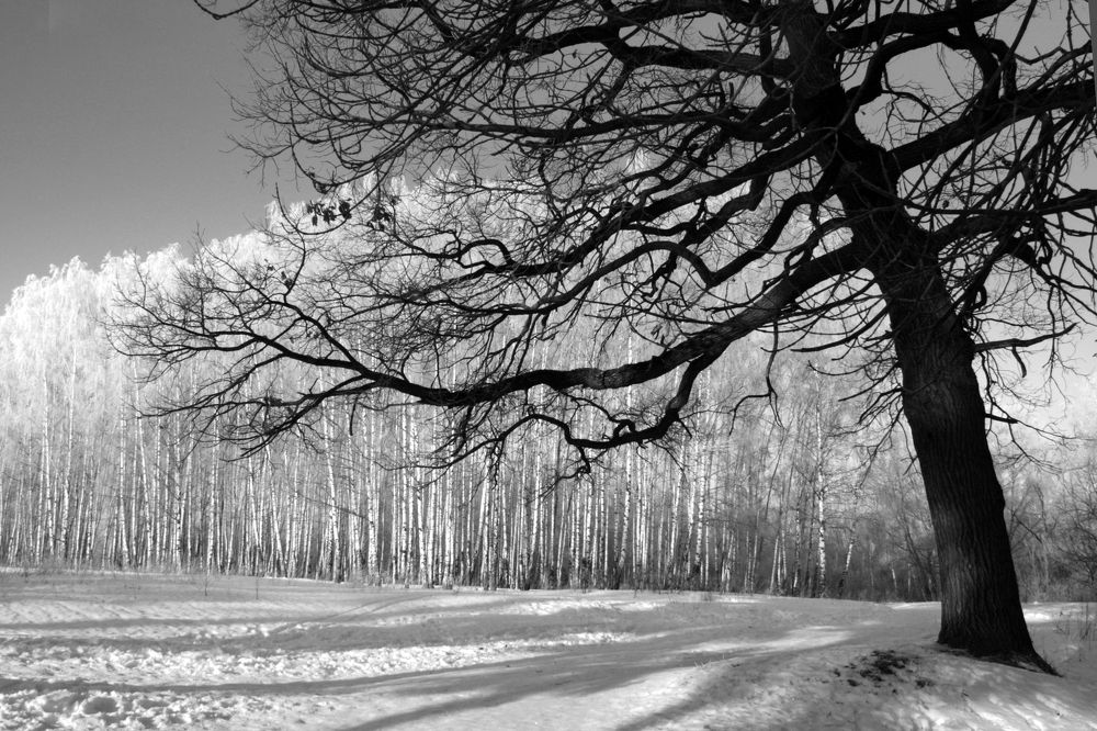 Photograph by Ионова Татьяна